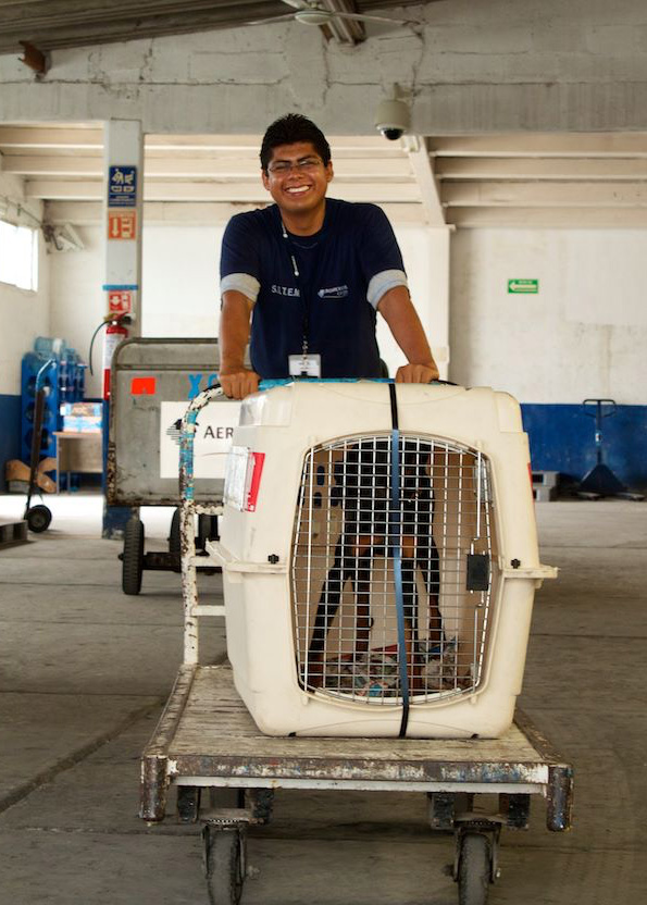 Chica arriving in the airport